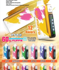 (新品)BANGKING 60000口超大容量拋棄式電子煙 五檔涼度可調一次性煙桿
